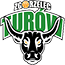 team-logo