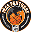 team-logo