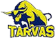 team-logo