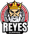 team-logo