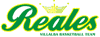 team-logo