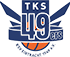 team-logo