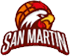 team-logo