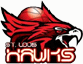 team-logo