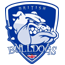 team-logo
