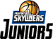 team-logo