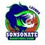 team-logo