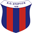 team-logo