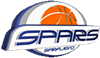 team-logo