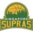 team-logo