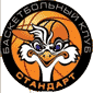 team-logo