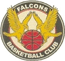 team-logo