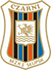 team-logo