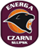 team-logo