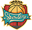 team-logo