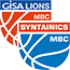 team-logo