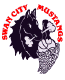 team-logo