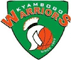 team-logo