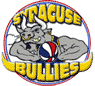 team-logo