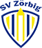 team-logo