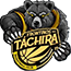 team-logo