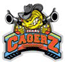 team-logo