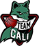 team-logo