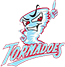team-logo