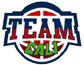 team-logo