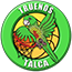 team-logo