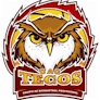 team-logo