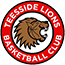 team-logo