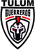 team-logo