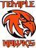 team-logo