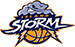 team-logo