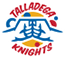 team-logo
