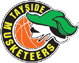 team-logo