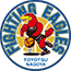 team-logo