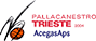 team-logo