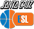team-logo