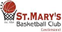 team-logo
