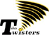 team-logo