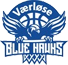 team-logo