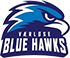 team-logo
