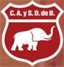 team-logo