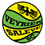 team-logo