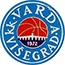 team-logo team-logo