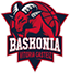 team-logo
