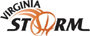 team-logo