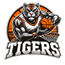 team-logo